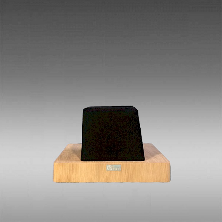 Walsh 1000 Freestanding Shelf Center Channel Speaker in Oak